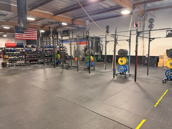 Squat racks, bumper plates, dumbbell and medicine ball racks.
